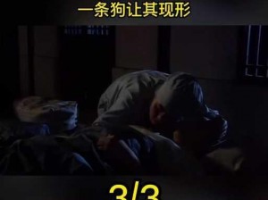 免费观看南宋尼姑庵阴阳合体、南宋尼姑庵阴阳合体是否真实存在？