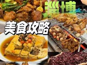 揭秘隐匿真相：淄博美食之旅的独特体验