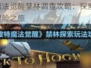 哈利波特魔法觉醒禁林调查攻略：探索神秘禁林，玩转魔法冒险之旅