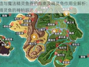 创造与魔法精灵鱼垂钓指南及精灵鱼作用全解析：探寻精灵鱼的神秘踪迹