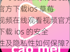 草莓视频在线观看视频官方下载ios 草莓视频在线观看视频官方下载 ios 的安全性及隐私性如何保障？