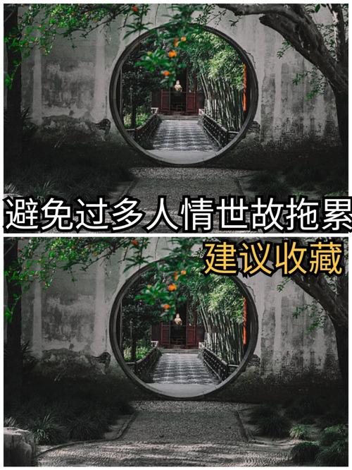 《雨中等待：人情世故的第七关通关攻略》