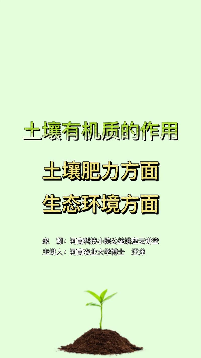 堆叠大陆的魅力：探索土壤特性及其对于作物生长的深远作用分享