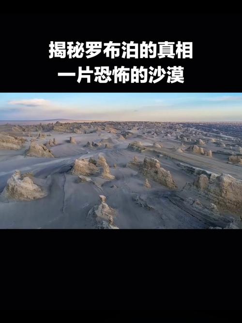 沙漠之谜：杀手官网的神秘世界探索之旅