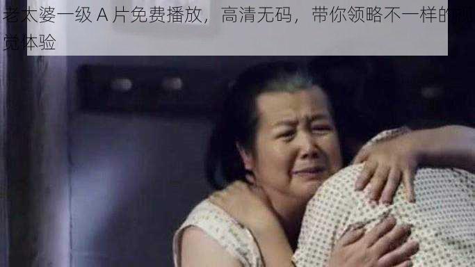 老太婆一级 A 片免费播放，高清无码，带你领略不一样的视觉体验