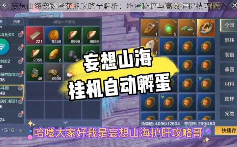 妄想山海宠物蛋获取攻略全解析:孵蛋秘籍与高效捕捉技巧揭秘