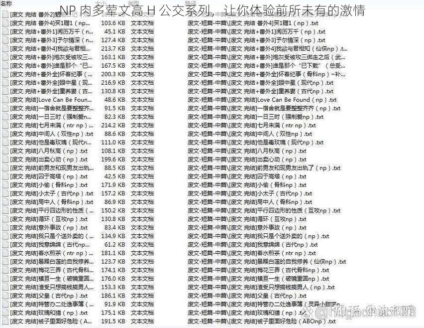 NP 肉多荤文高 H 公交系列，让你体验前所未有的激情