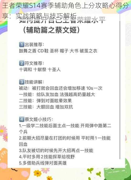 王者荣耀S14赛季辅助角色上分攻略心得分享：实战策略与技巧解析