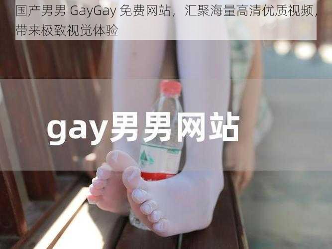 国产男男 GayGay 免费网站，汇聚海量高清优质视频，带来极致视觉体验