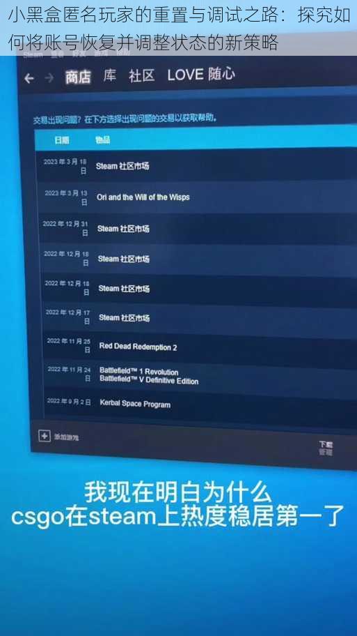 小黑盒匿名玩家的重置与调试之路：探究如何将账号恢复并调整状态的新策略