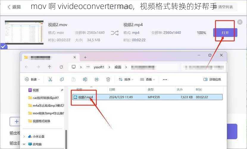 mov 啊 vivideoconvertermac，视频格式转换的好帮手