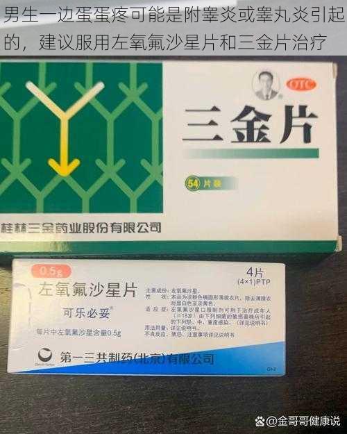 男生一边蛋蛋疼可能是附睾炎或睾丸炎引起的，建议服用左氧氟沙星片和三金片治疗