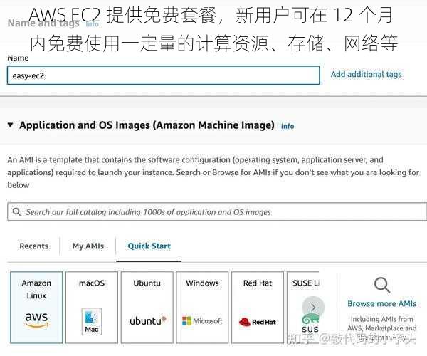 AWS EC2 提供免费套餐，新用户可在 12 个月内免费使用一定量的计算资源、存储、网络等