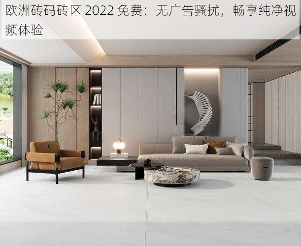 欧洲砖码砖区 2022 免费：无广告骚扰，畅享纯净视频体验