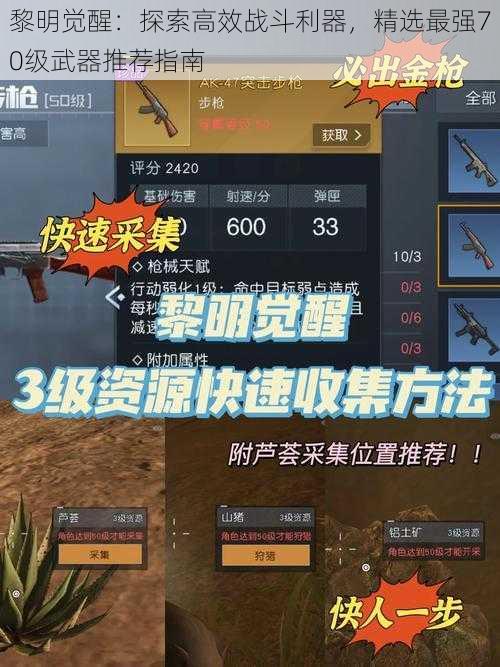 黎明觉醒：探索高效战斗利器，精选最强70级武器推荐指南