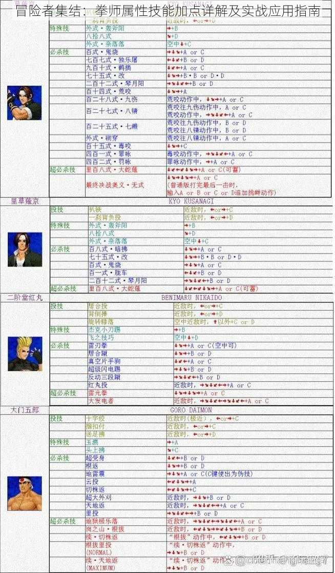 冒险者集结：拳师属性技能加点详解及实战应用指南