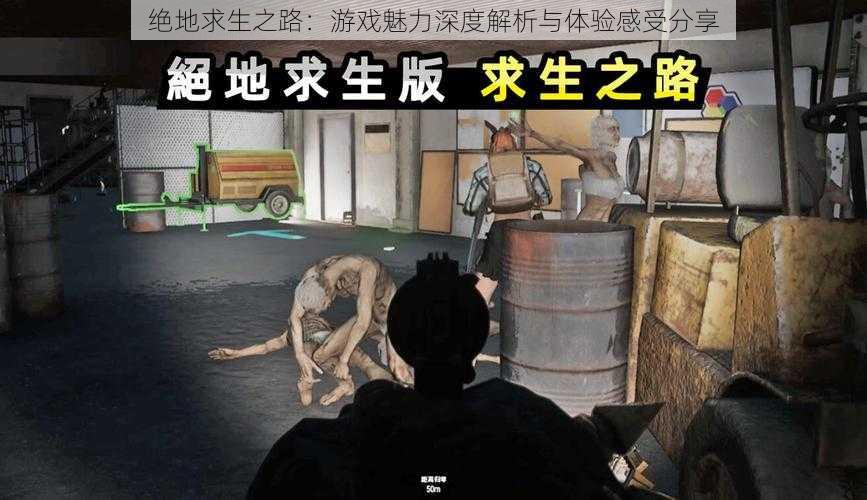 绝地求生之路：游戏魅力深度解析与体验感受分享