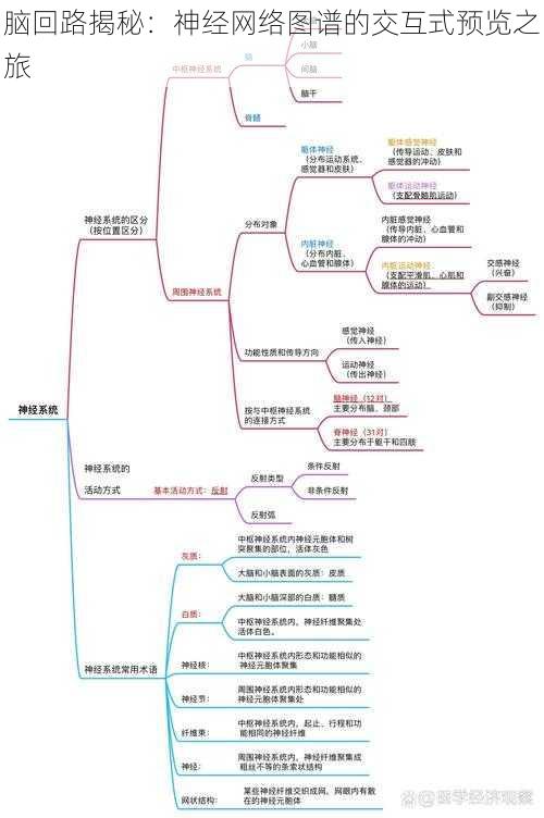 脑回路揭秘：神经网络图谱的交互式预览之旅