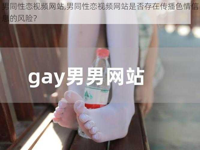 男同性恋视频网站,男同性恋视频网站是否存在传播色情信息的风险？