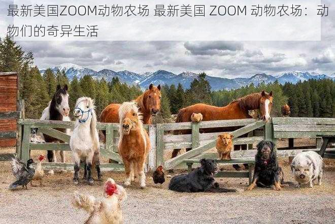 最新美国ZOOM动物农场 最新美国 ZOOM 动物农场：动物们的奇异生活