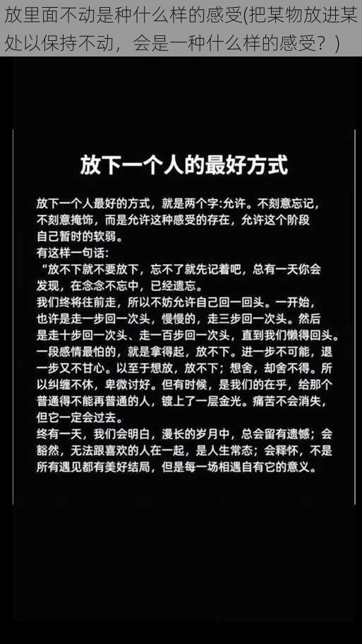 放里面不动是种什么样的感受(把某物放进某处以保持不动，会是一种什么样的感受？)