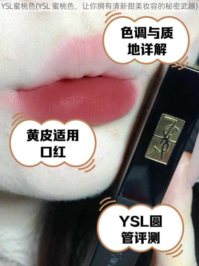 YSL蜜桃色(YSL 蜜桃色，让你拥有清新甜美妆容的秘密武器)