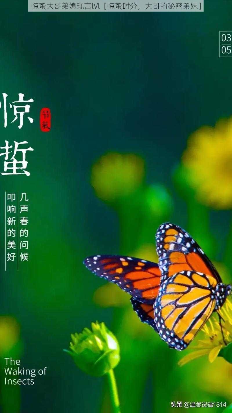 惊蛰大哥弟媳现言lVl【惊蛰时分，大哥的秘密弟妹】