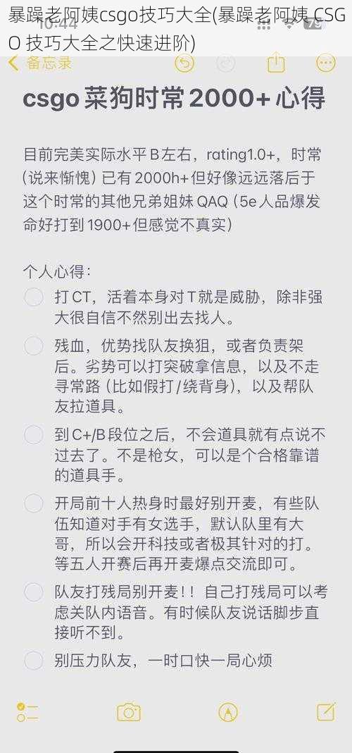 暴躁老阿姨csgo技巧大全(暴躁老阿姨 CSGO 技巧大全之快速进阶)