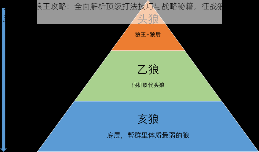 梦蝶重生狼王攻略：全面解析顶级打法技巧与战略秘籍，征战狼群之峰的胜利宝典