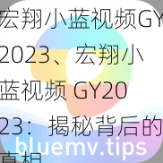 宏翔小蓝视频GY2023、宏翔小蓝视频 GY2023：揭秘背后的真相