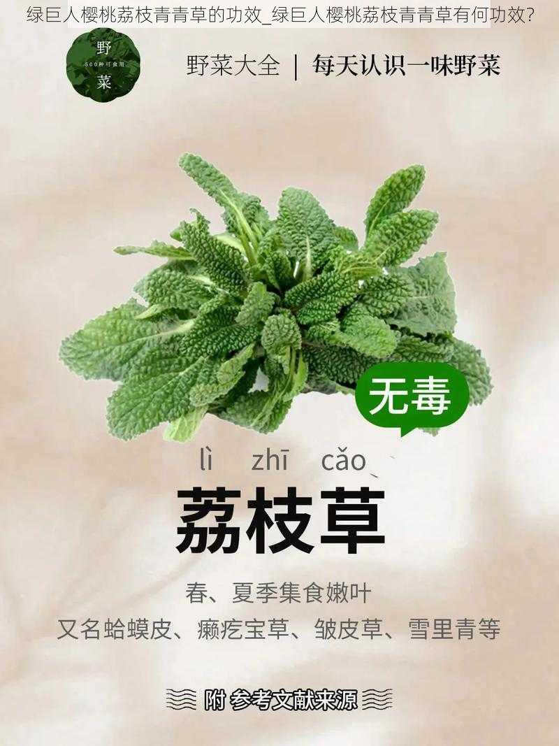 绿巨人樱桃荔枝青青草的功效_绿巨人樱桃荔枝青青草有何功效？