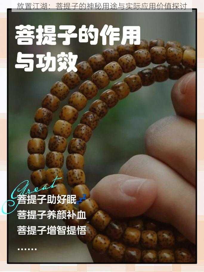 放置江湖：菩提子的神秘用途与实际应用价值探讨