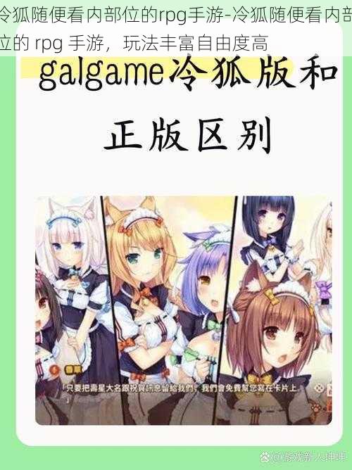 冷狐随便看内部位的rpg手游-冷狐随便看内部位的 rpg 手游，玩法丰富自由度高