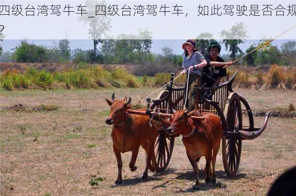 四级台湾驾牛车_四级台湾驾牛车，如此驾驶是否合规？