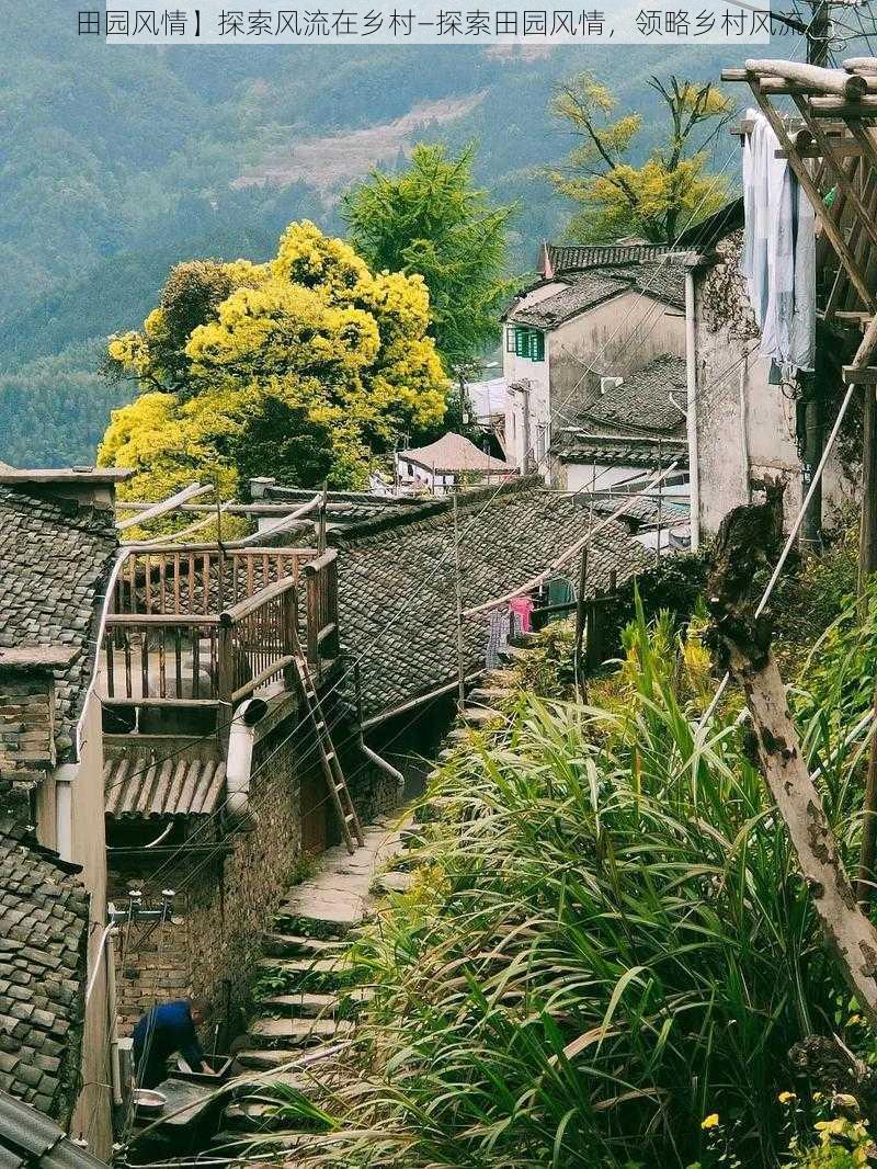 田园风情】探索风流在乡村—探索田园风情，领略乡村风流