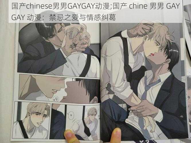 国产chinese男男GAYGAY动漫;国产 chine 男男 GAYGAY 动漫：禁忌之爱与情感纠葛