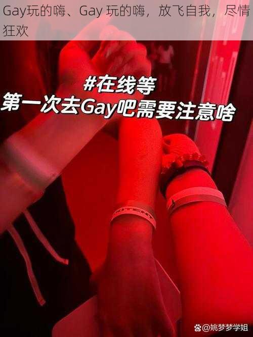 Gay玩的嗨、Gay 玩的嗨，放飞自我，尽情狂欢