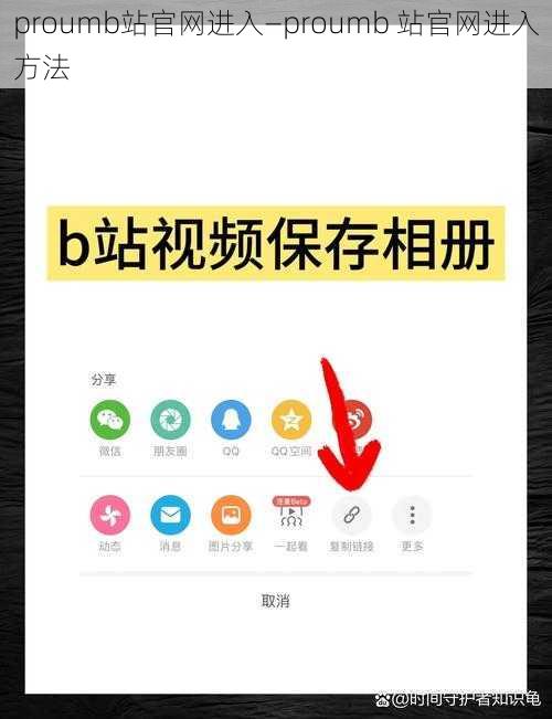 proumb站官网进入—proumb 站官网进入方法