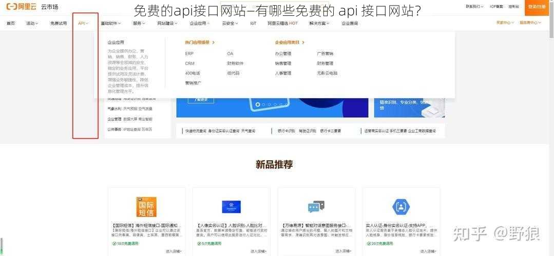 免费的api接口网站—有哪些免费的 api 接口网站？