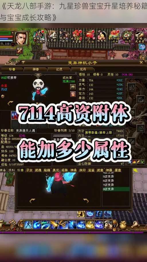 《天龙八部手游：九星珍兽宝宝升星培养秘籍与宝宝成长攻略》