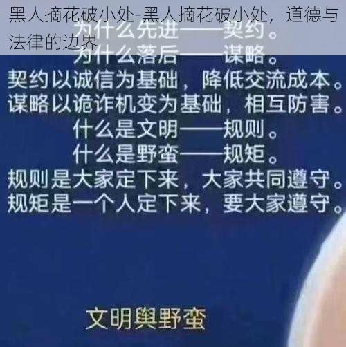 黑人摘花破小处-黑人摘花破小处，道德与法律的边界