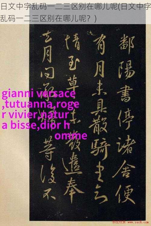 日文中字乱码一二三区别在哪儿呢(日文中字乱码一二三区别在哪儿呢？)