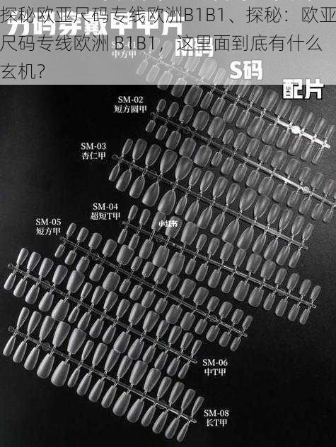 探秘欧亚尺码专线欧洲B1B1、探秘：欧亚尺码专线欧洲 B1B1，这里面到底有什么玄机？