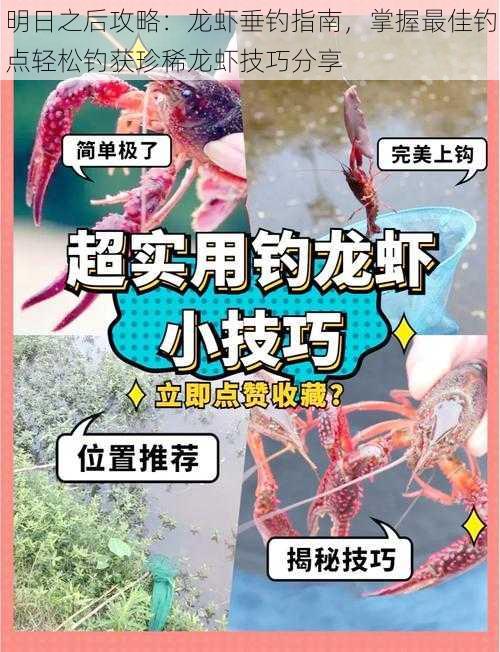 明日之后攻略：龙虾垂钓指南，掌握最佳钓点轻松钓获珍稀龙虾技巧分享