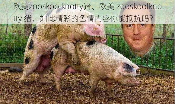 欧美zooskoolknotty猪、欧美 zooskoolknotty 猪，如此精彩的色情内容你能抵抗吗？