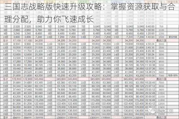 三国志战略版快速升级攻略：掌握资源获取与合理分配，助力你飞速成长