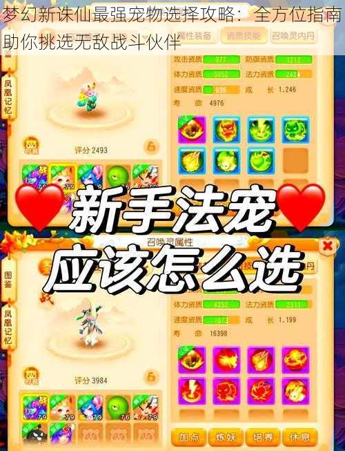 梦幻新诛仙最强宠物选择攻略：全方位指南助你挑选无敌战斗伙伴