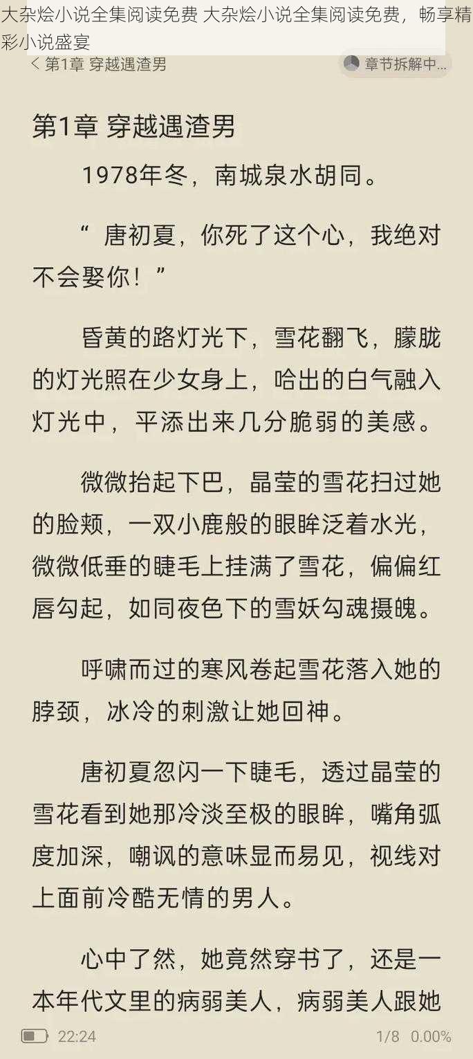 大杂烩小说全集阅读免费 大杂烩小说全集阅读免费，畅享精彩小说盛宴