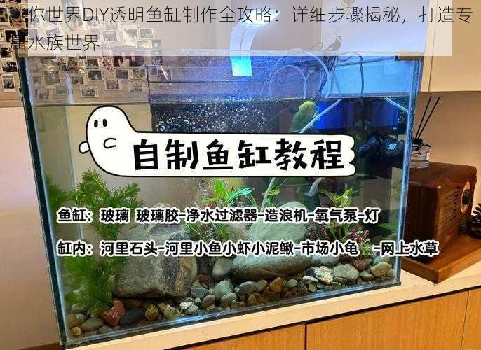 迷你世界DIY透明鱼缸制作全攻略：详细步骤揭秘，打造专属水族世界