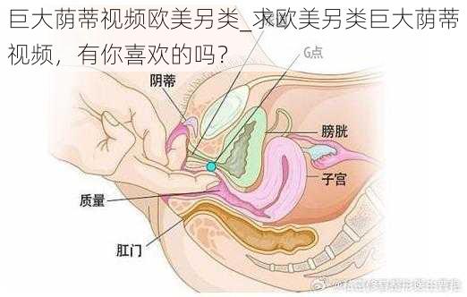 巨大荫蒂视频欧美另类_求欧美另类巨大荫蒂视频，有你喜欢的吗？